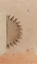 IMG20261012152711.webp